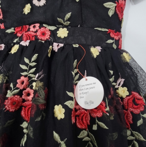 Chi Chi London Petite All Over Folk Floral Embroidered Skater Dress - Picture 7 of 11